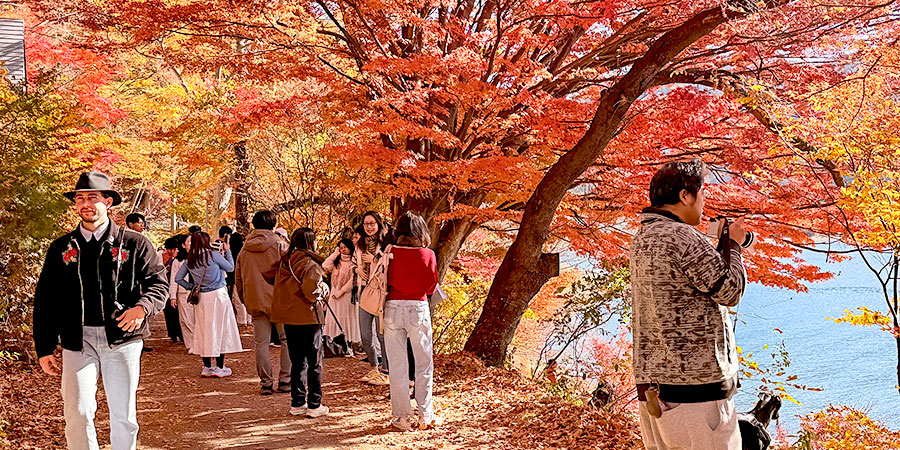 Autumn Foliage in Mount Fuji