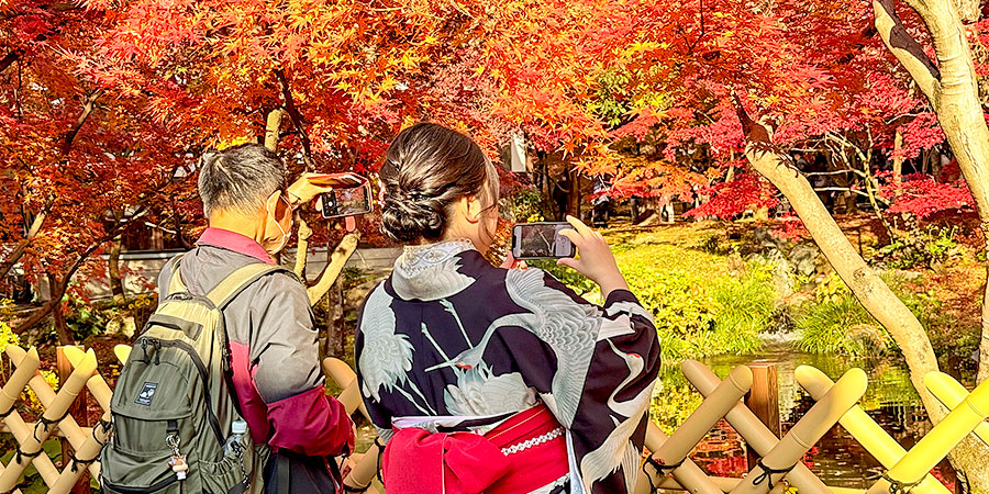 Vibrant Autumn Foliage in Yokohama