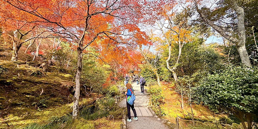 Autumn leaves at Mountain Tenguyama