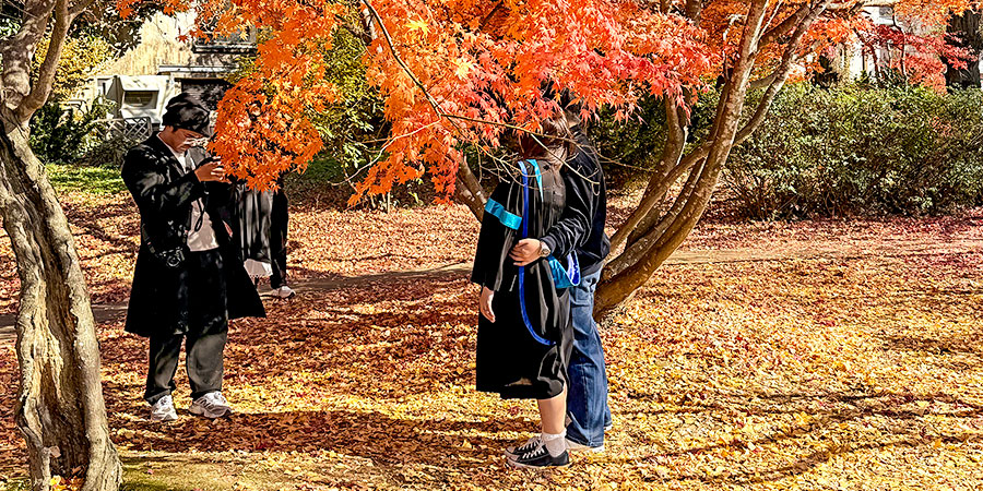 Appreciate Autumn Leaves