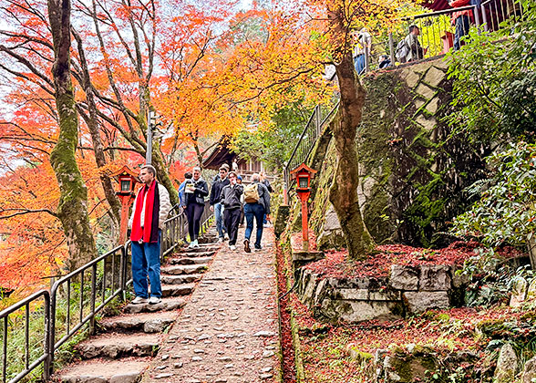 Autumn Foliage in Japan
