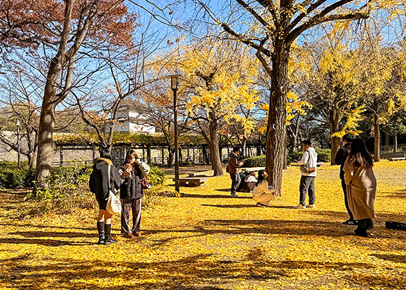 Autumn scenery of Osaka Castle
