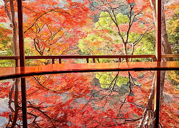 Autumn scenery outside the temple window