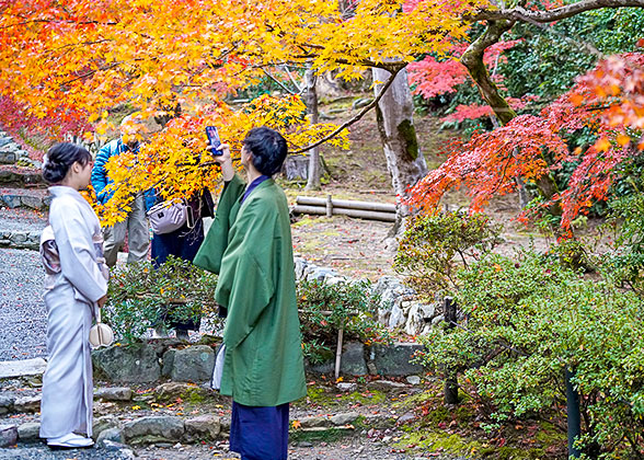 Autumn View in Kirishima Jingu Shrine