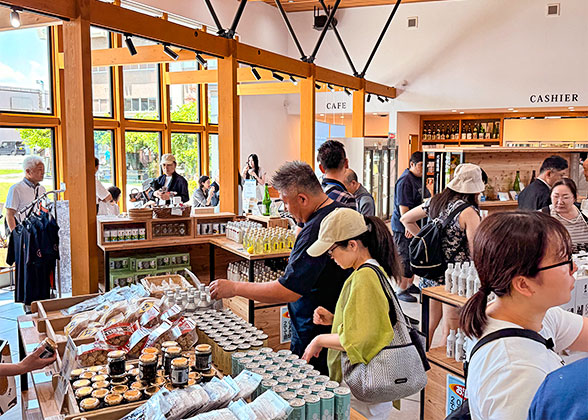 Beer Exhibitions during the Festival