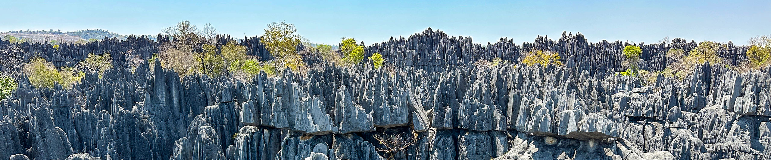 Bemaraha National Park