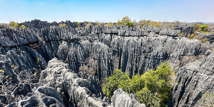 Bemaraha National Park