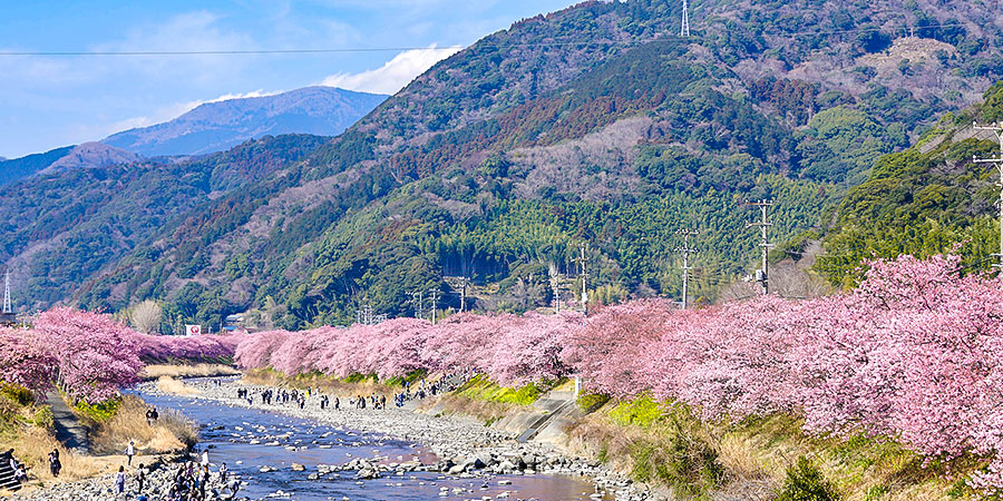 Spring - A Best Time for Hiking in Japan