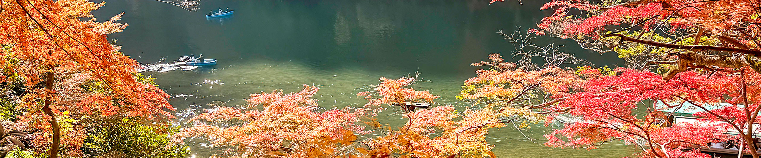 Japan Best Visiting Time