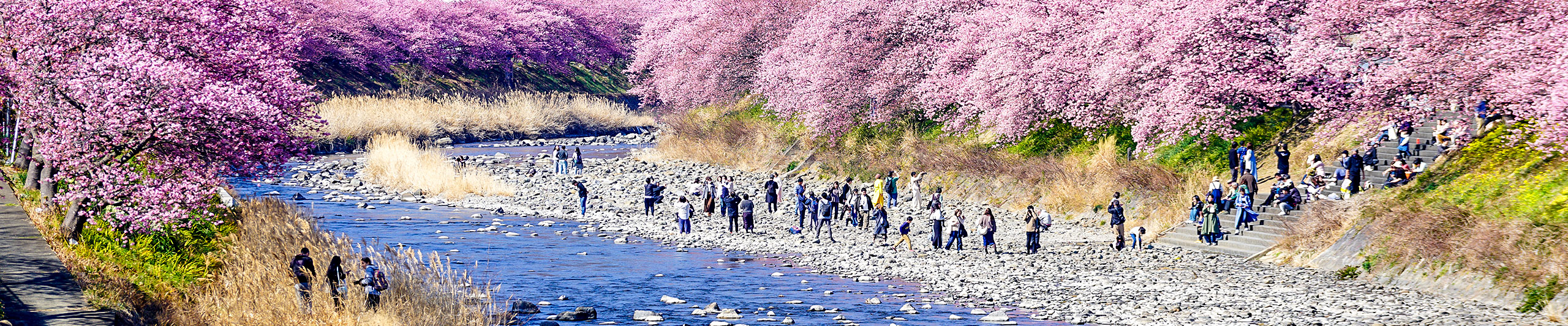 Best Time to Visit Takayama
