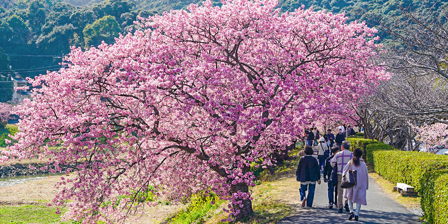 Spring to Visit Hokkaido