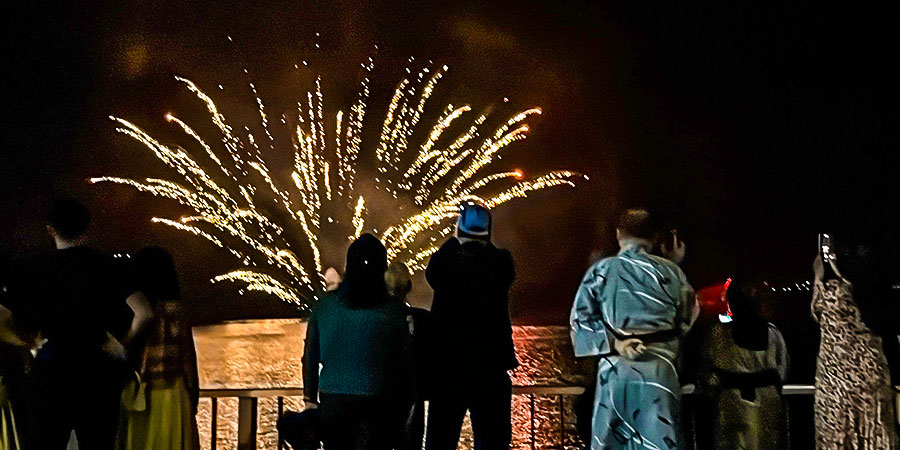 Bright Colored Fireworks in Summer