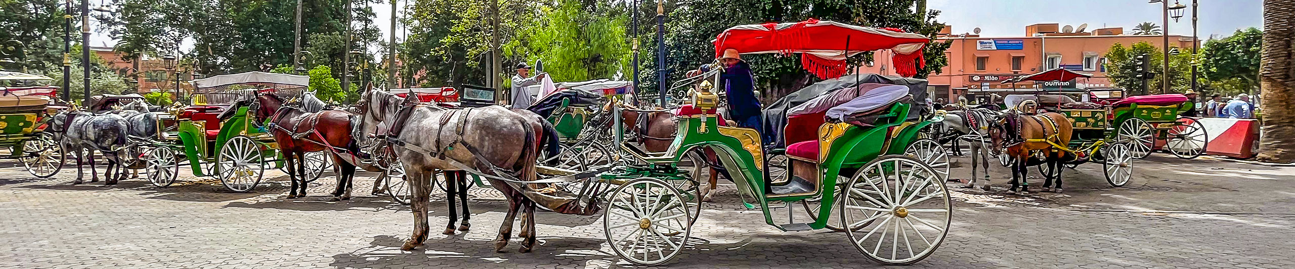 Carriages at Koutoubia Mosque, Marrakech