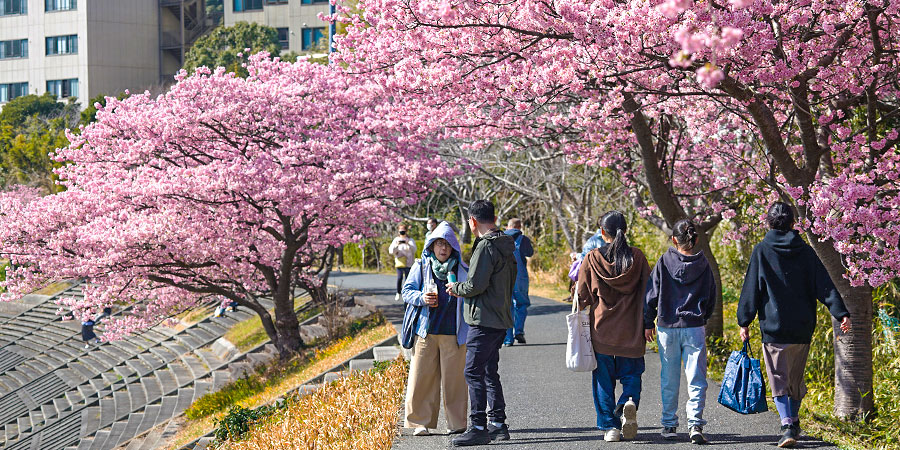Sumida Park