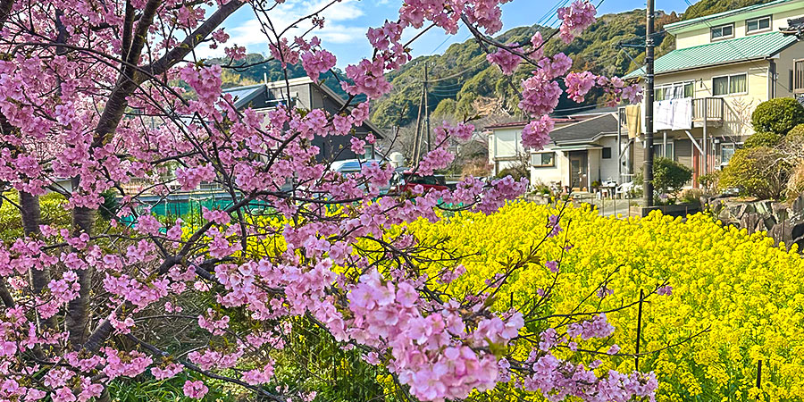 Matsumae in Hakodate