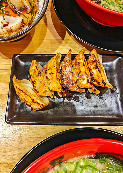 Tasty Craft Gyoza