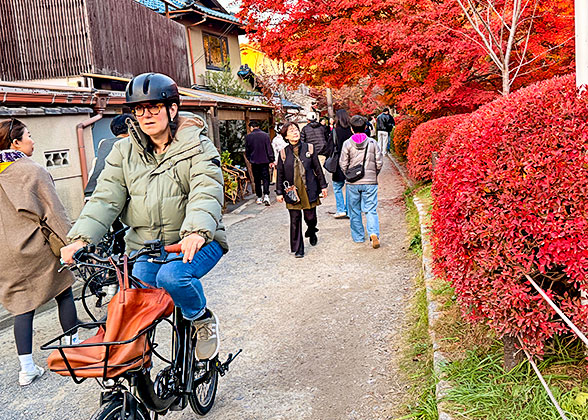 Cycling along the Philosopher's Path