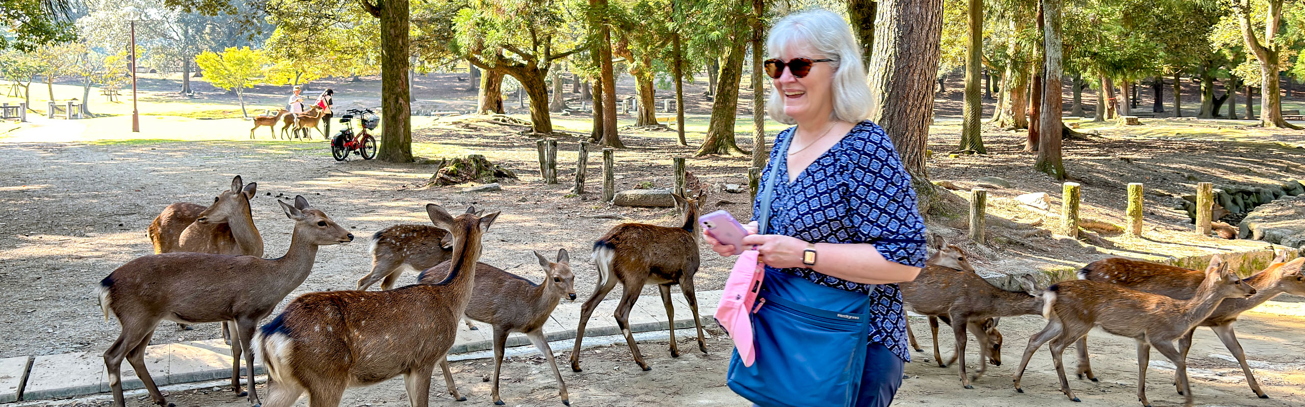 Meet Deers in the Nara Park