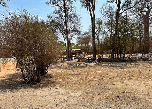 Dry Road outside Reniala Reserve in October