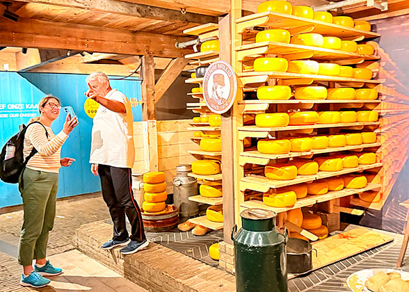 Dutch Cheese in Netherland