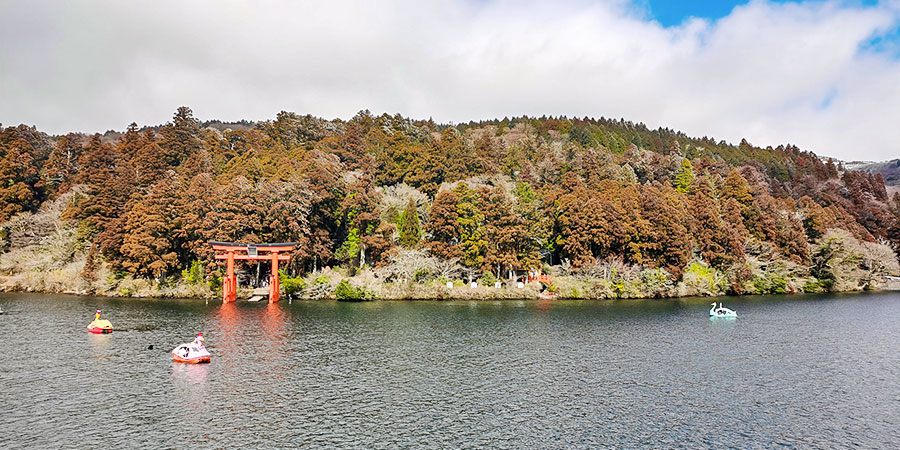 Fall Foliage in Tokyo in December