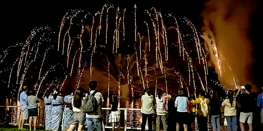 Fireworks Show in Tokyo