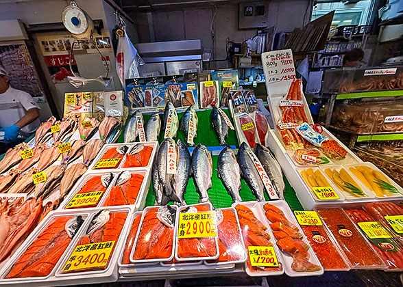 Fresh seafood in Matsumae