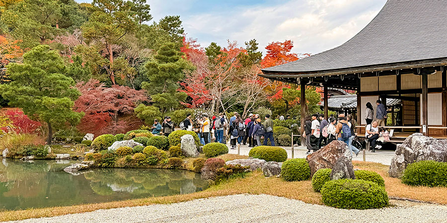 Red Leaves in Fukuoka