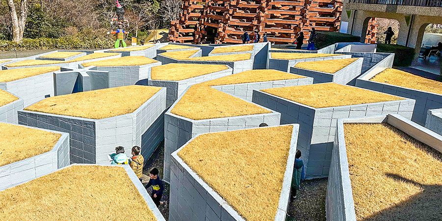 Garden of Star Maze