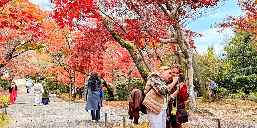 Goryo Shrine in Autumn