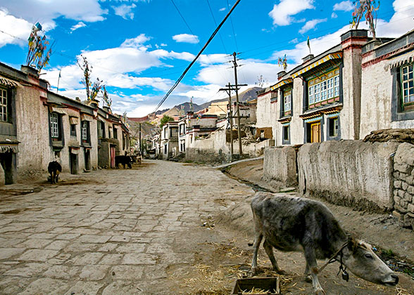 Gyangtse Old Street