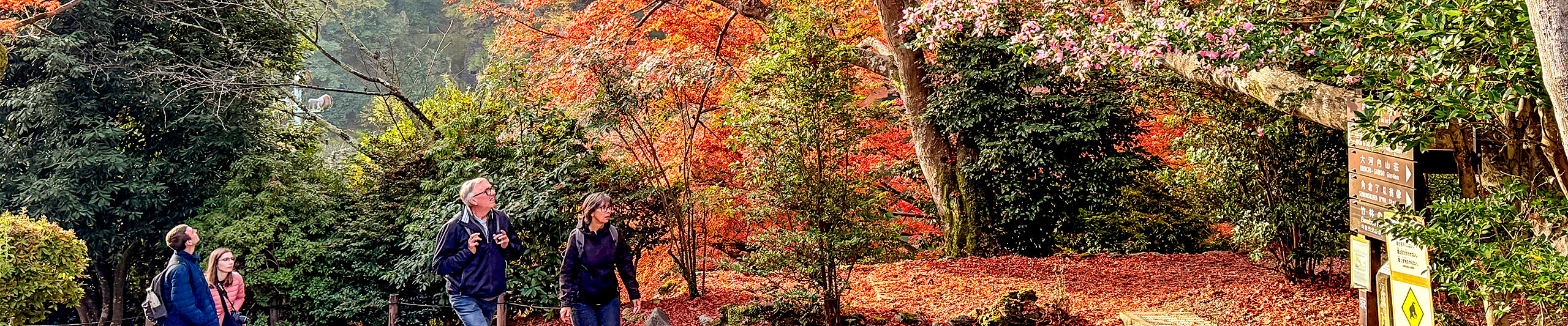 Hakata Fall View Hakata Fall View