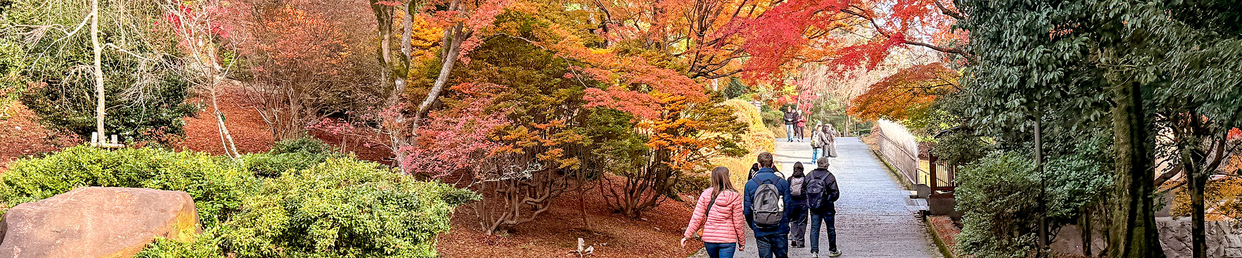 Autumn Scenry Autumn Scenry