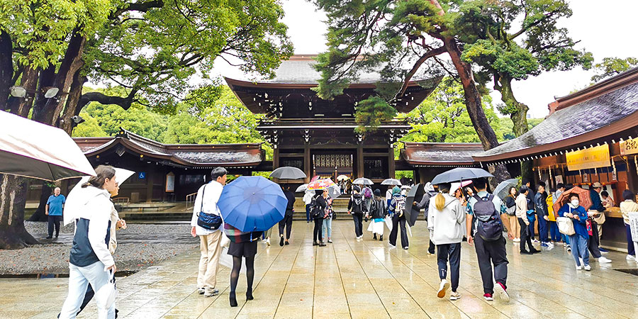 October Light Rainfall