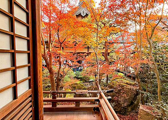 Japanese Gardens in Hakata