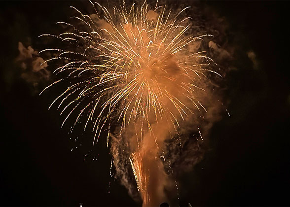 Gorgeous Firework Display