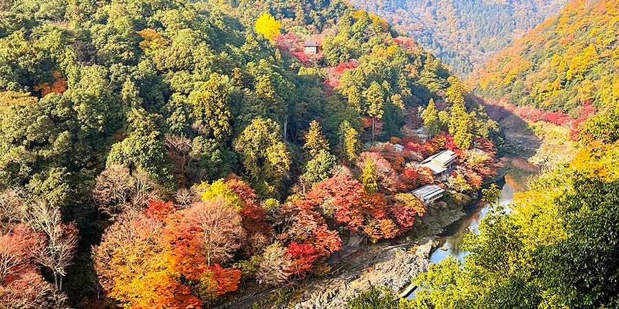 Stunning Autumn View in Hakone