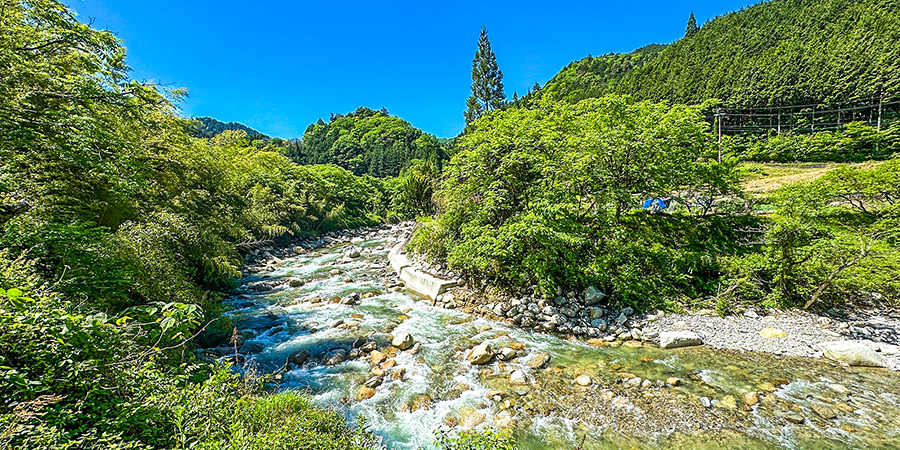 Hakone Old Tokaido Way