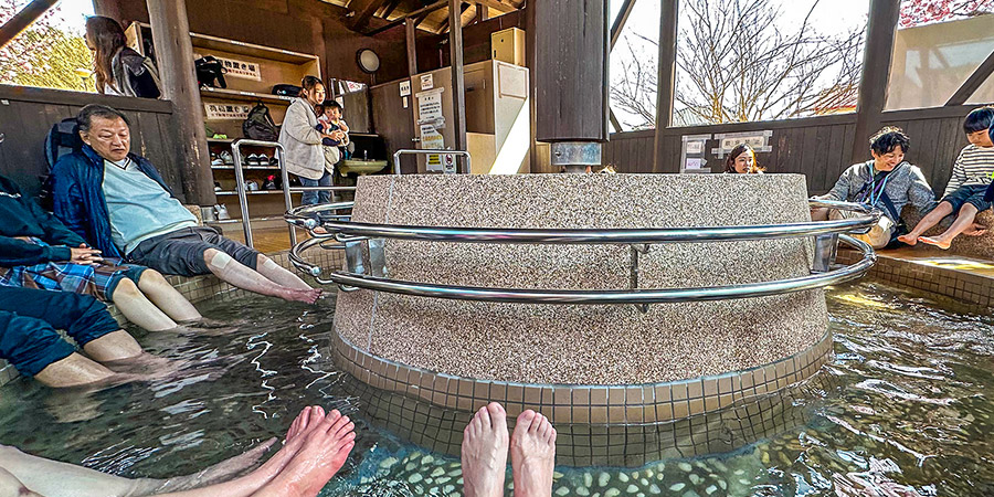 Hakone Onsen Pool