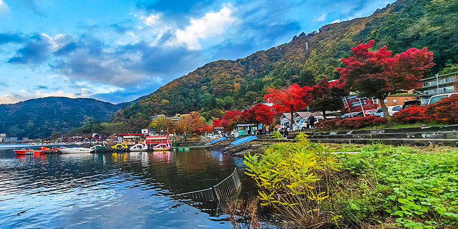 Hakone Red Leaves