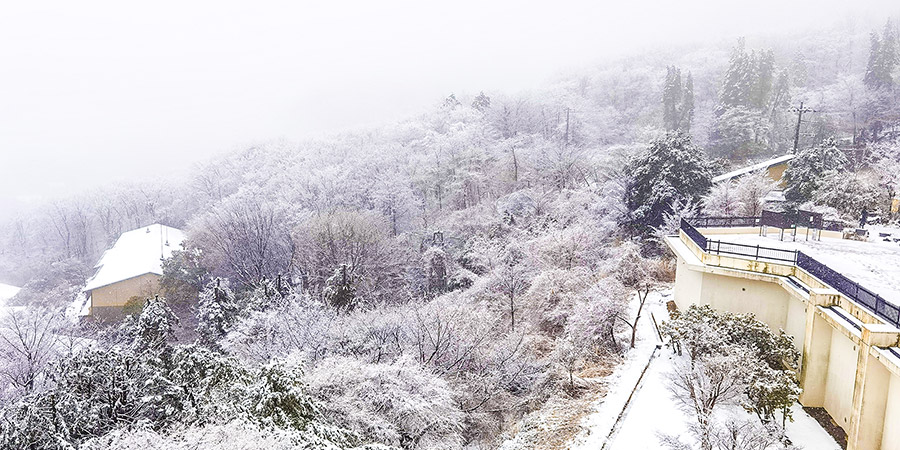 Hakone on Snowy Days