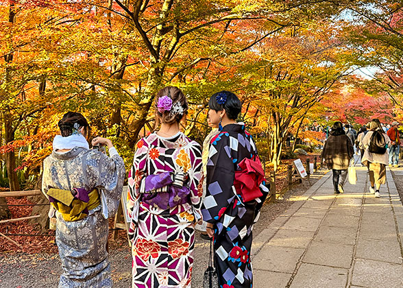 Heian Shrine in Autumn