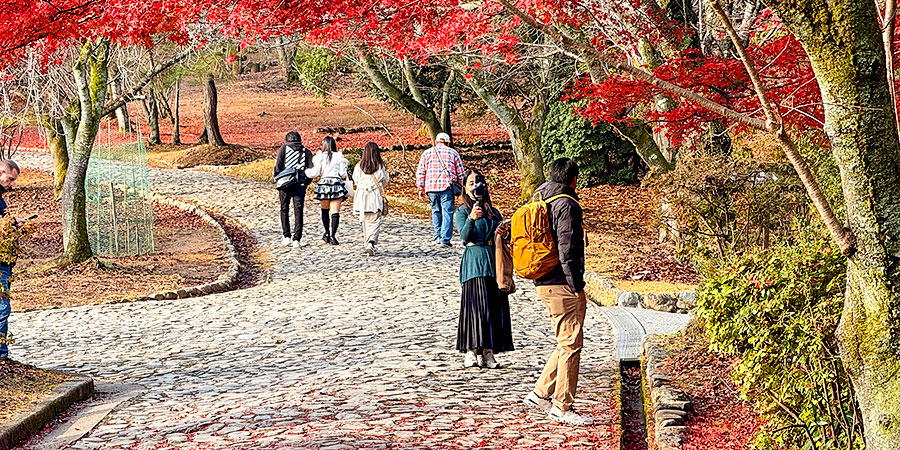 Red Leaves in Hibiya Park
