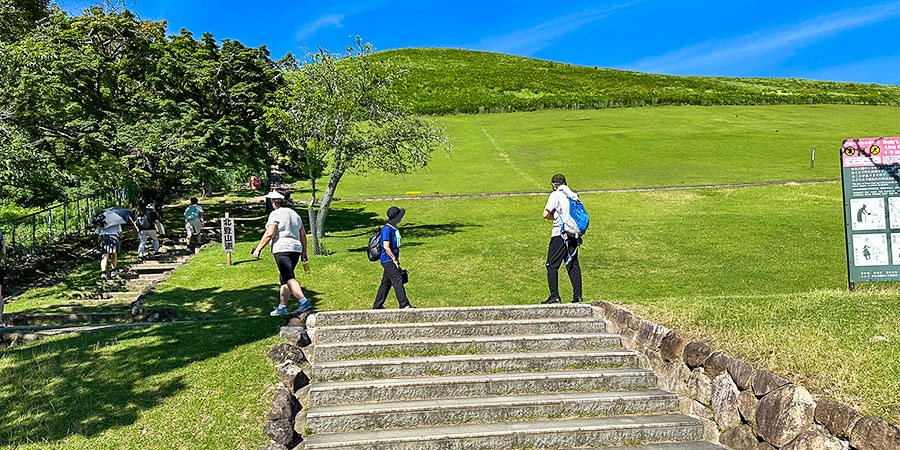 Mountain Wakakusa
