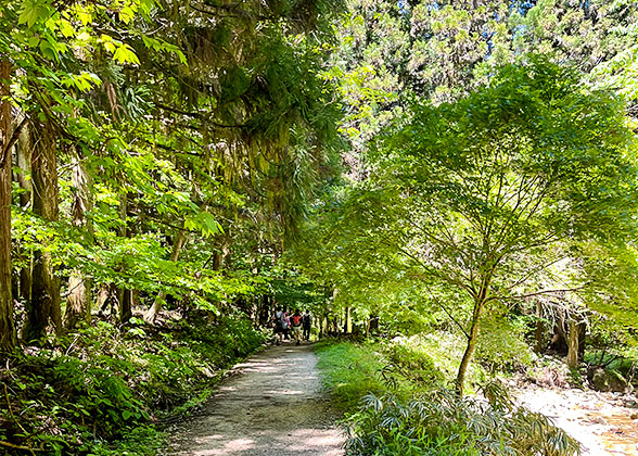 Mount Fuji Hiking Trail