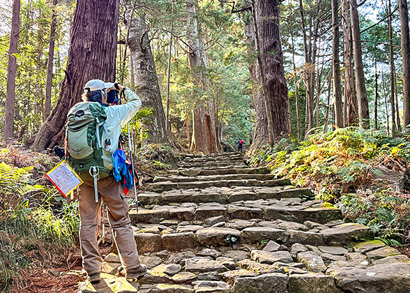 Hiking on the Mountain Koya