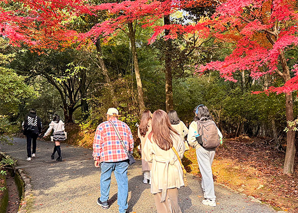 Hiking trail of Mount Hakodate