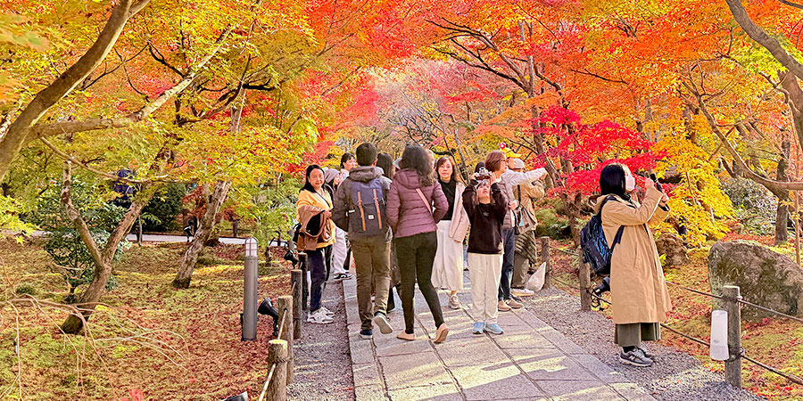Visitors in Autumn Foliage Season