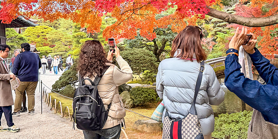 Colorful Autumn Foliage of Hirosaki