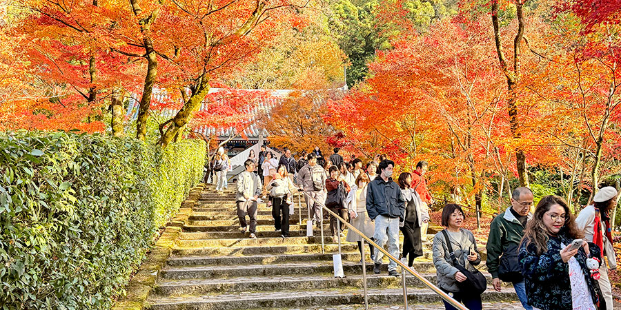 Hirosaki in Beautiful Autumn